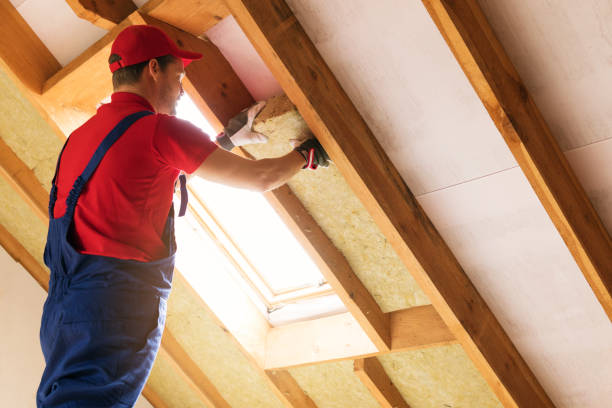 Insulation Air Sealing in Oneida, TN